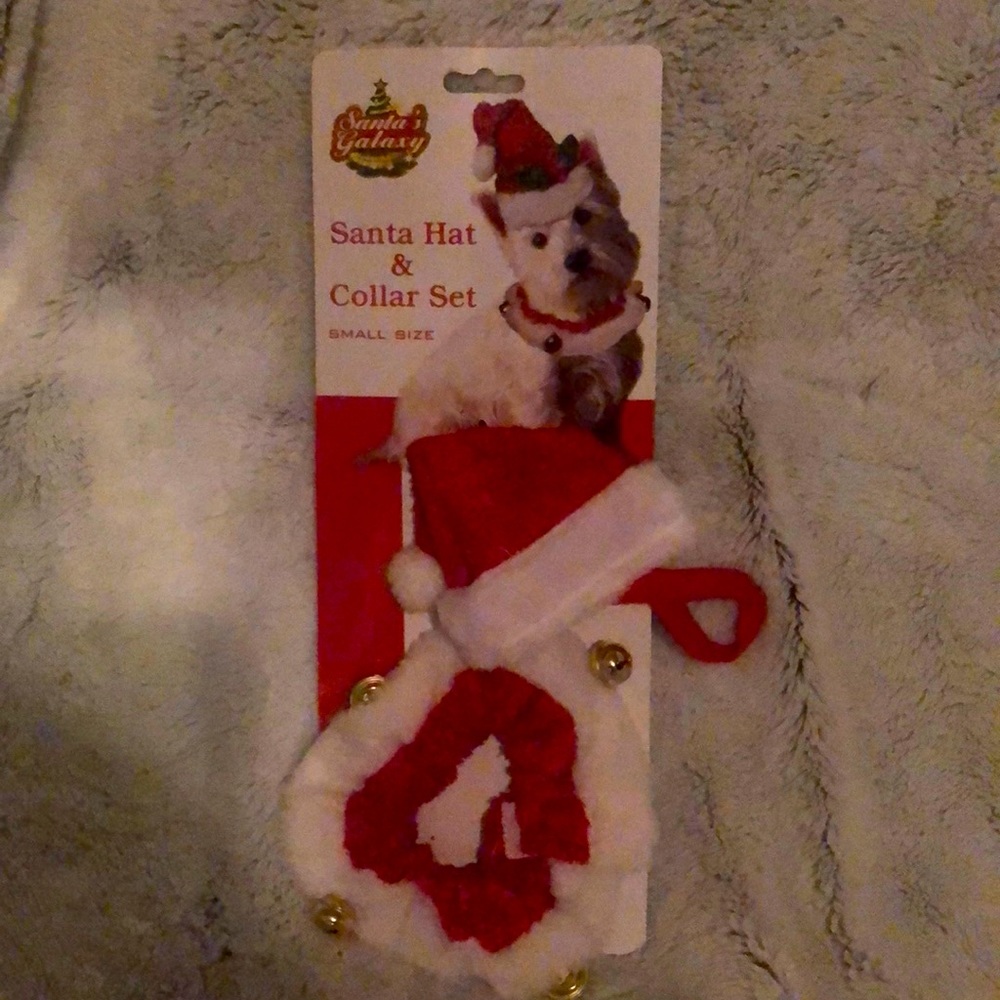 Santa hat for a small teacup dog